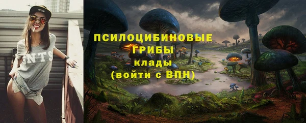 каннабис Верея