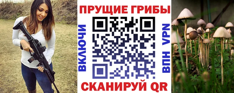 Галлюциногенные грибы Psilocybe  Кашира 